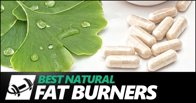 Best Natural Fat Burners on the market today